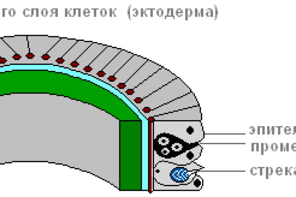 Кракен ссылка зайти